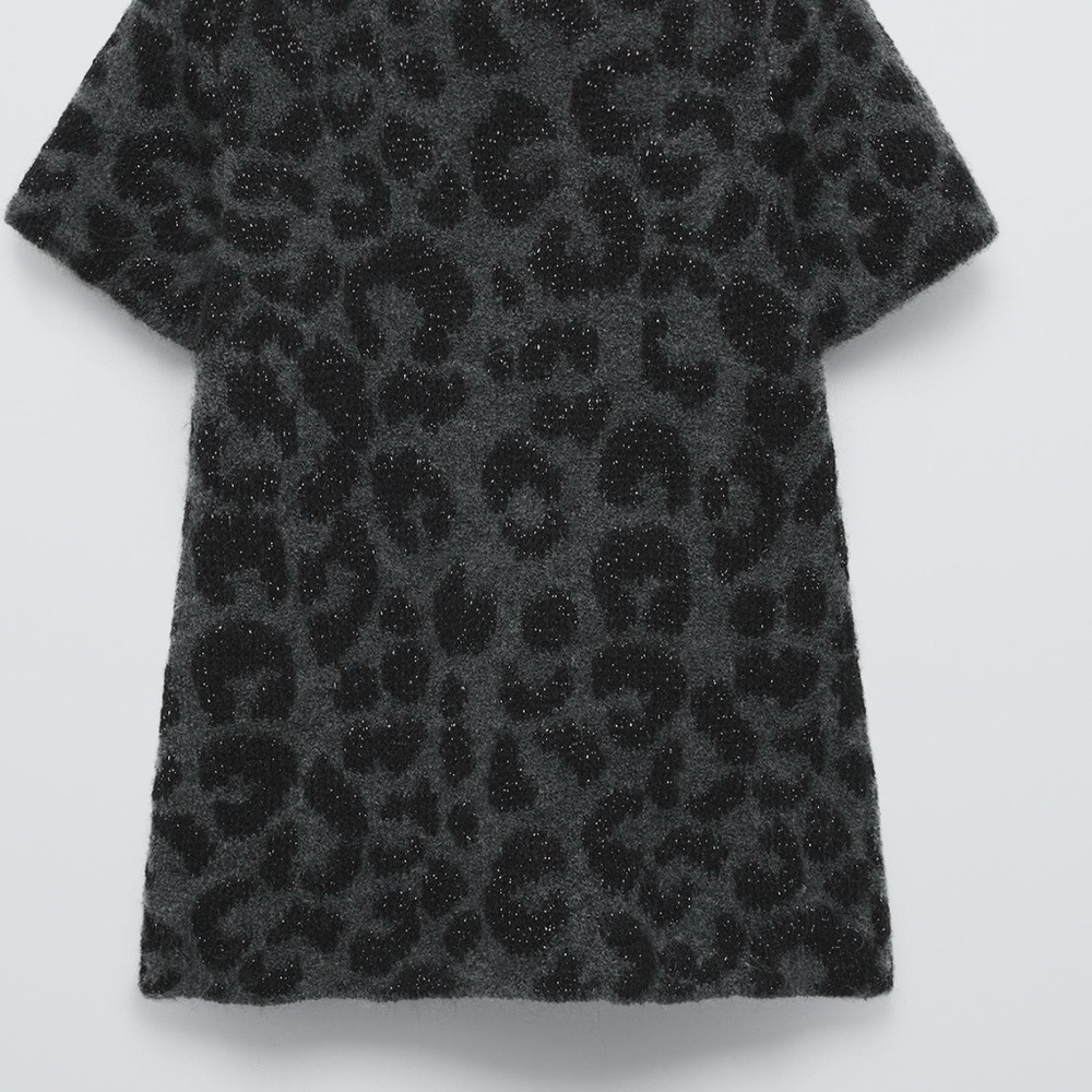 Zara Leopard Print Dress